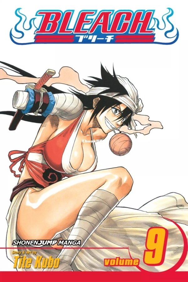 6777986-bleach 9.jpg