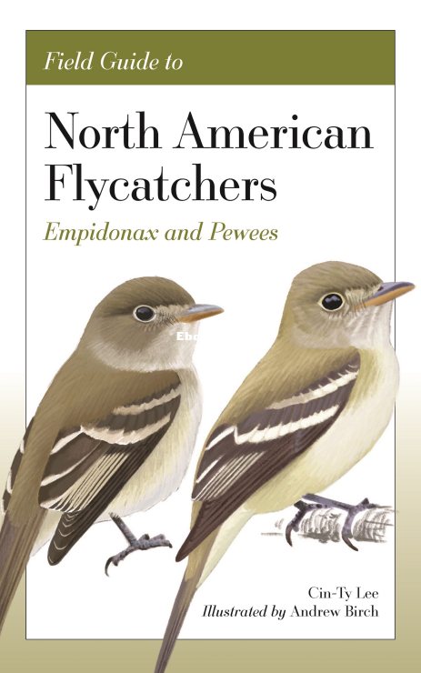 Field_Guide_to_North_American_Flycatchers_-_Cin-Ty_Lee - 1.png