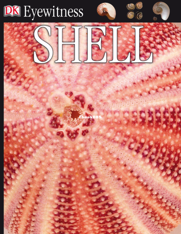 Shell (Alex Arthur) - 1.png