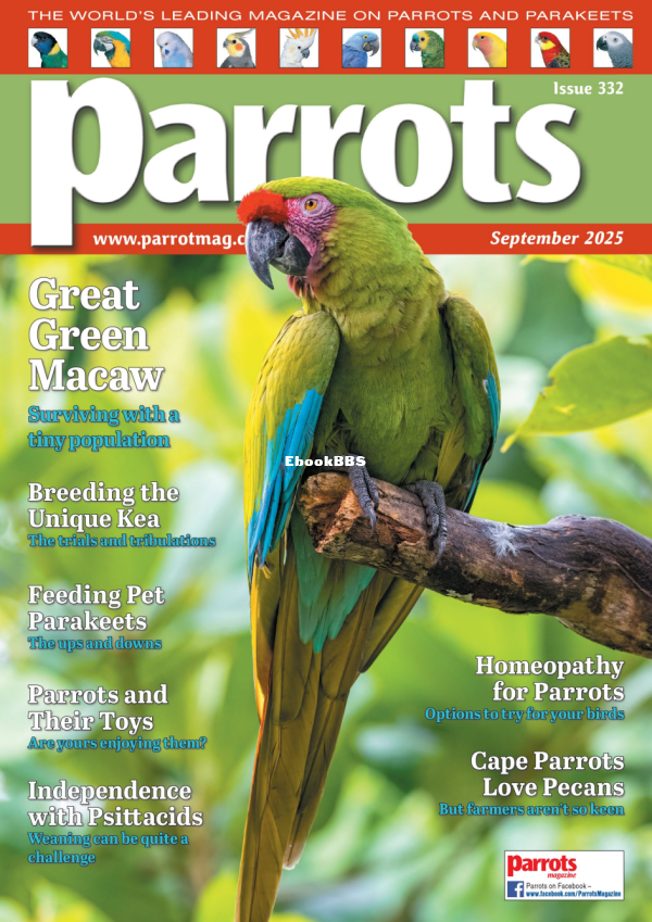 Parrots_-_September_2025 - 1.png