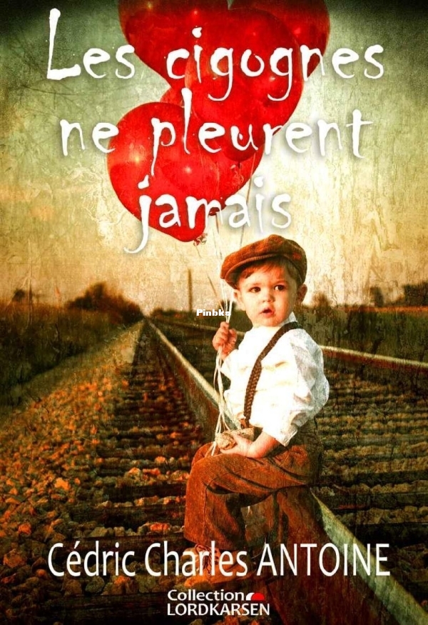 Les cigognes ne pleurent jamais Cedric Charles Antoine.jpg