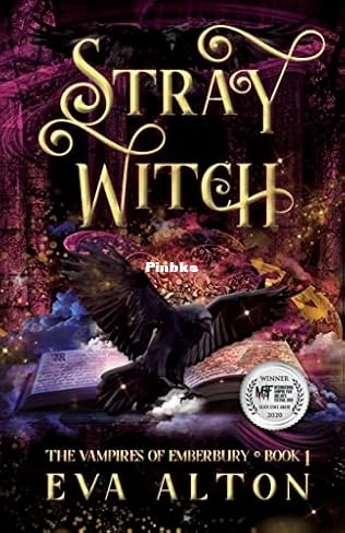 Stray Witch.jpg