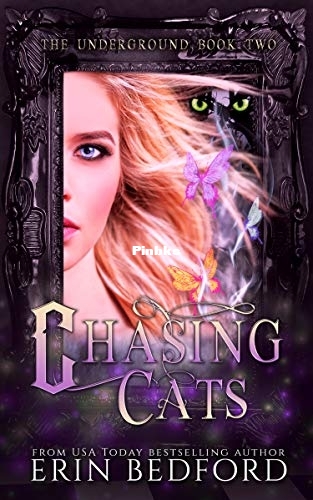 Chasing Cats.jpg