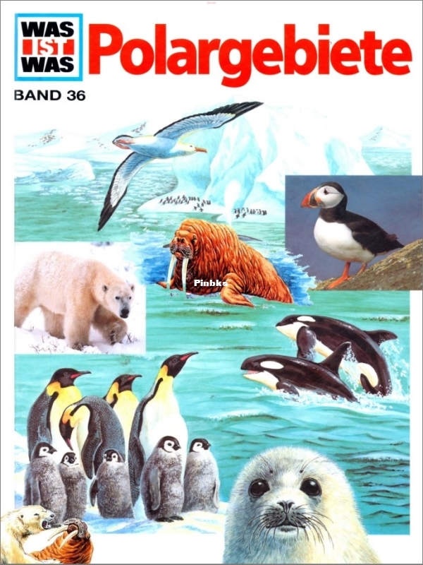 Was_Ist_Was_-_036_-_Polargebiete.jpg