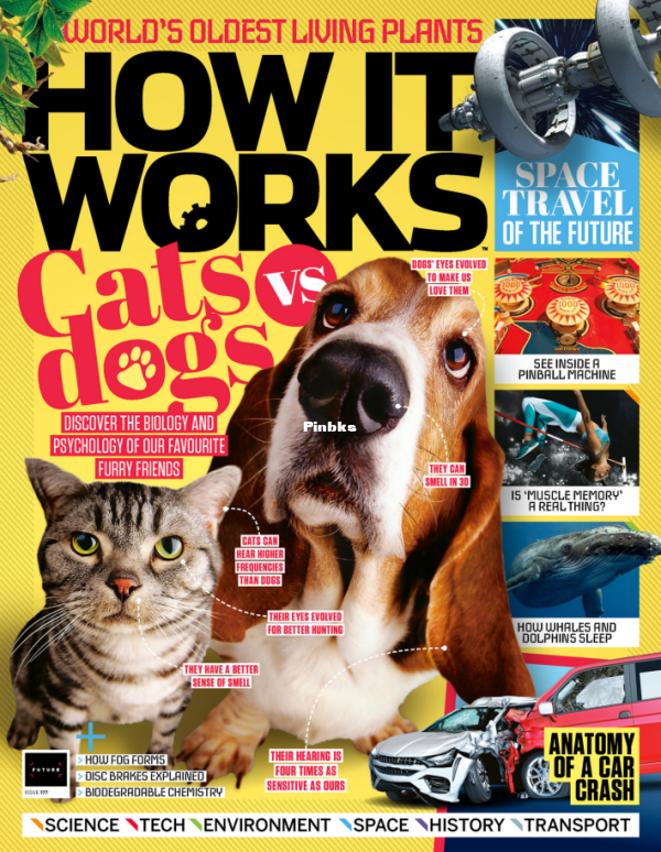 How It Works I177 2023 - 1.png
