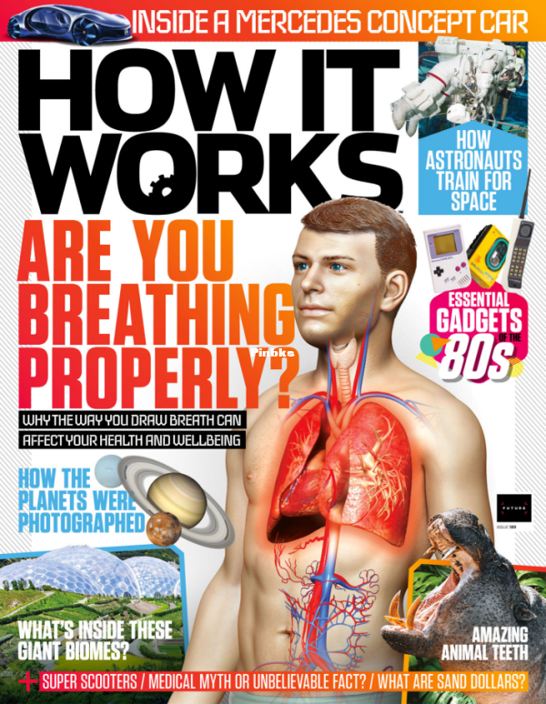 How It Works I189 2024 - 1.png