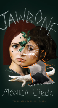 Jawbone - Mónica Ojeda - English