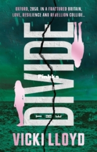 The Divide - Vicki Lloyd - English