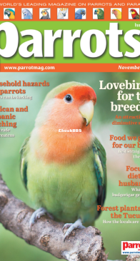 Parrots - Issue 334 - 11.2025 - English