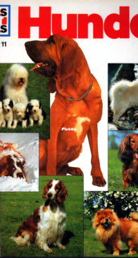Hunde - Was Ist Was 011 - Irving Robbin - German